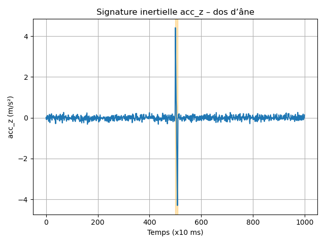 Figure 4.3 – Signature inertielle d’un dos d’âne simulé (acc_z)